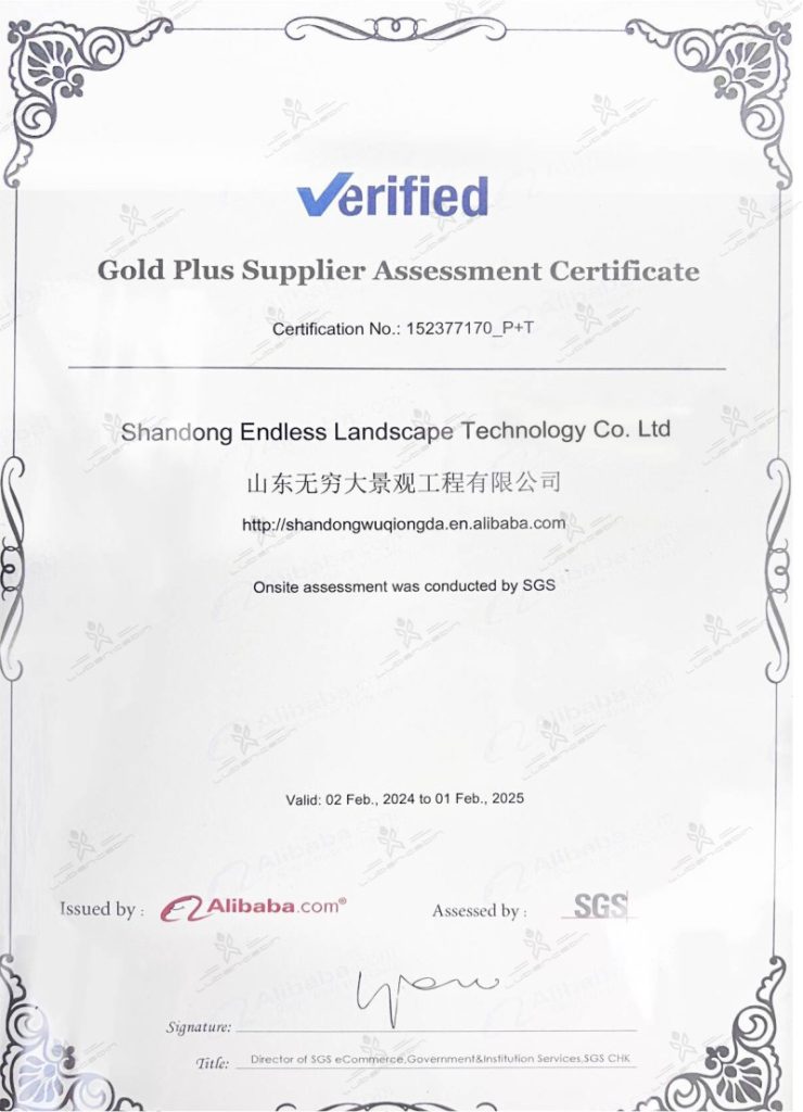 SGS Certificate1